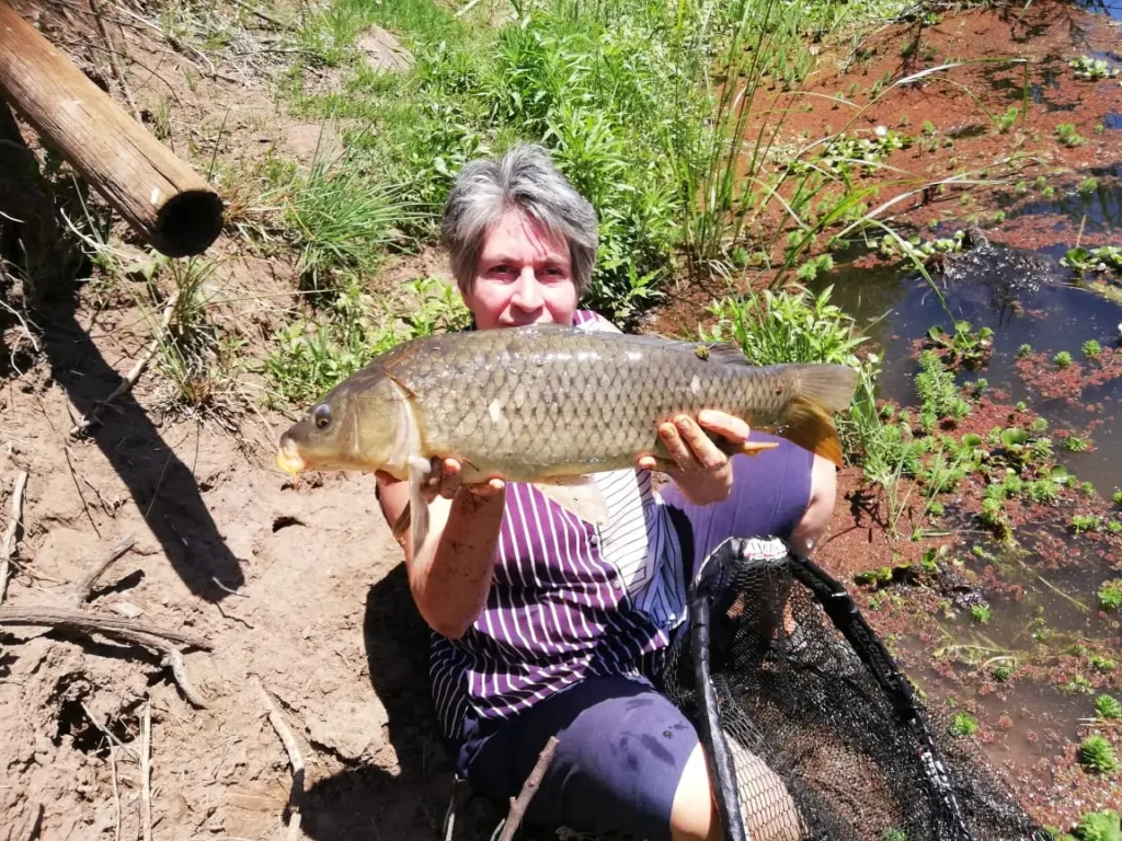 Angler holding a large carp caught at Angels Valley